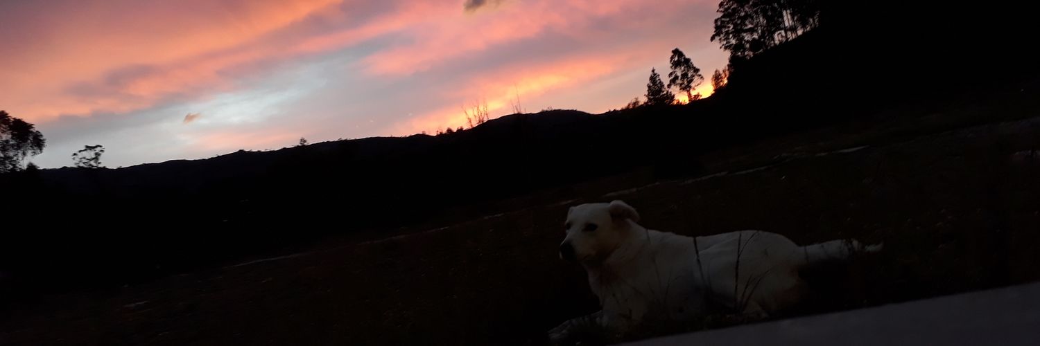 PoolGonzles1's profile banner image