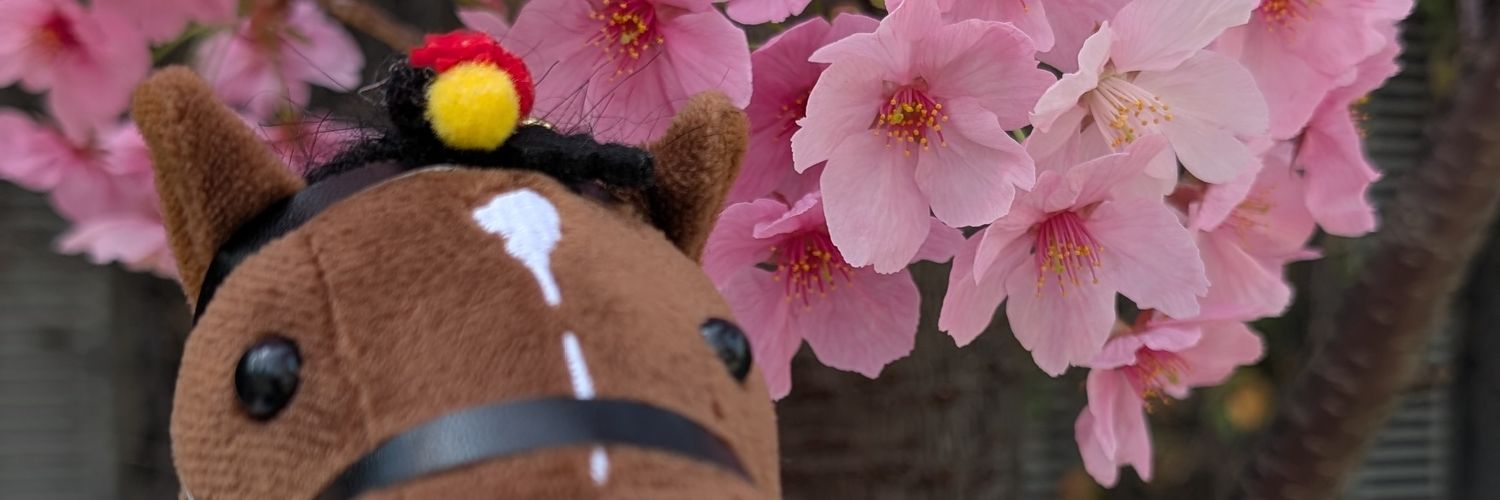 鶏ガラ🐎🐴🪣's banner