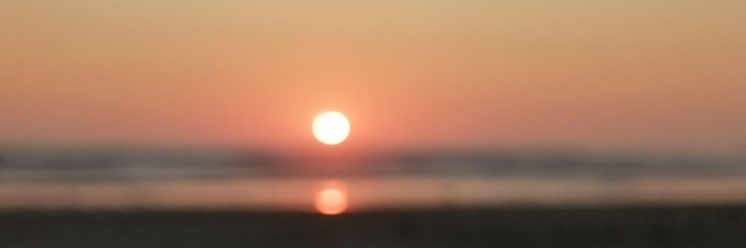 vivasatanana's profile banner image