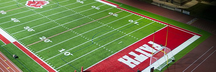 Lady Lions Soccer banner