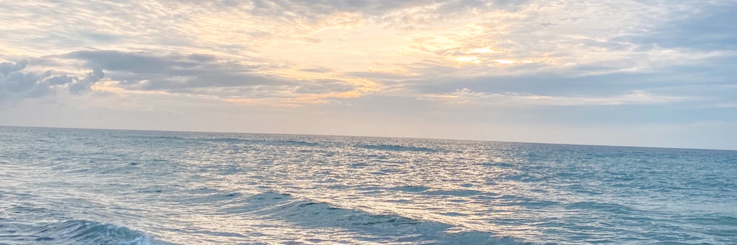 Lynttpmnt_'s profile banner image