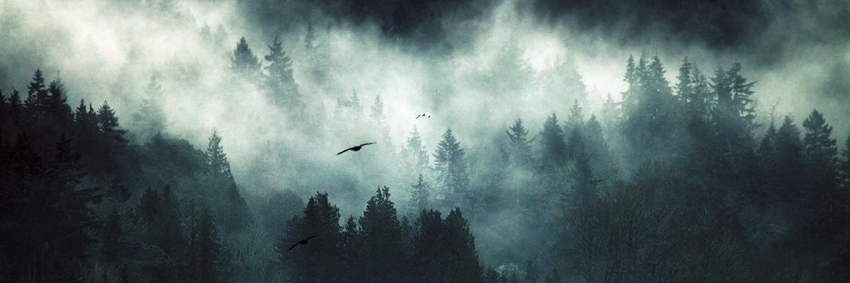 insane_free's profile banner image
