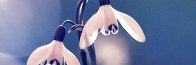 feri_gutierrez's profile banner image