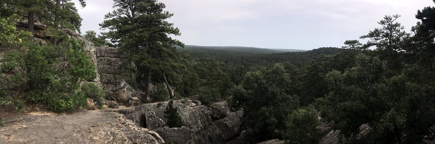 Robin Aupperle banner