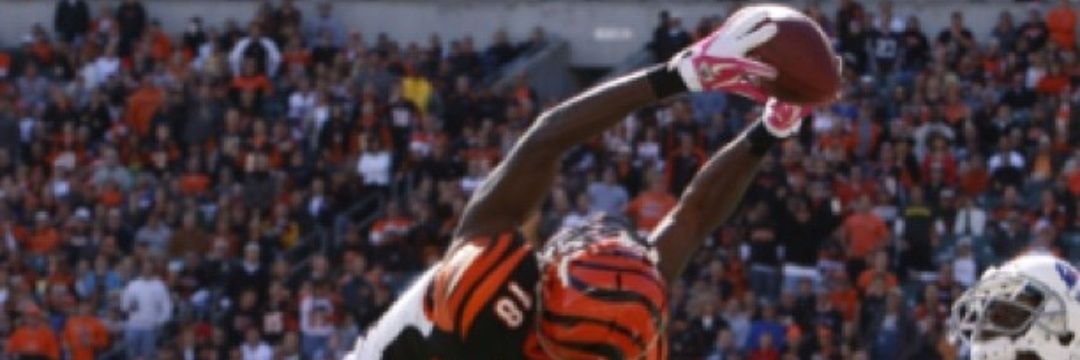 SPML_Bengals's profile banner image