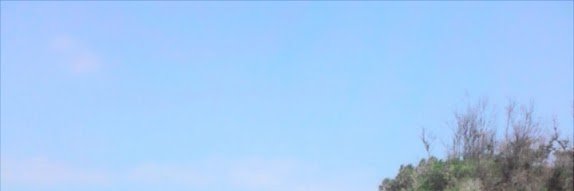 hirtisd's profile banner image