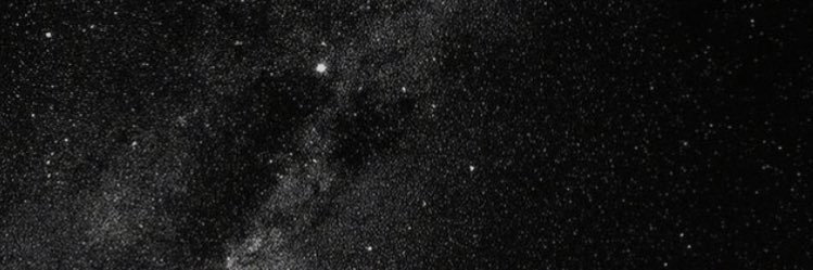 🌹 d. banner