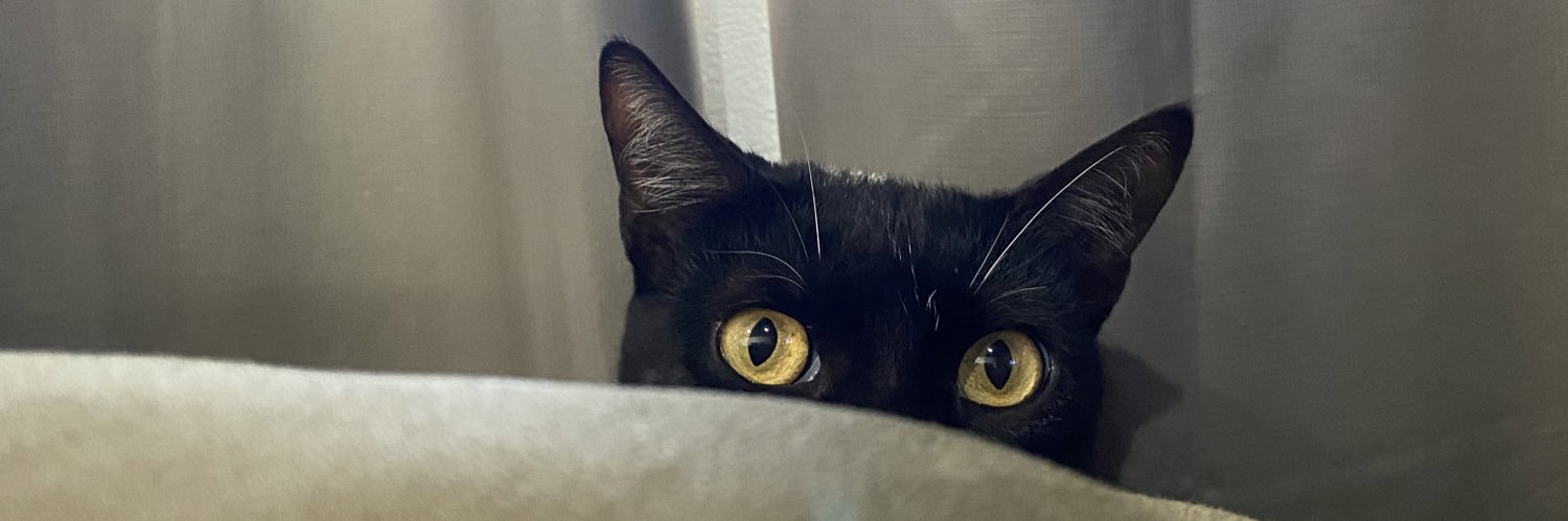laumarinsb's profile banner image