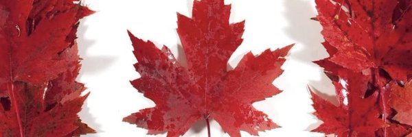 jacroy67 Profile Banner