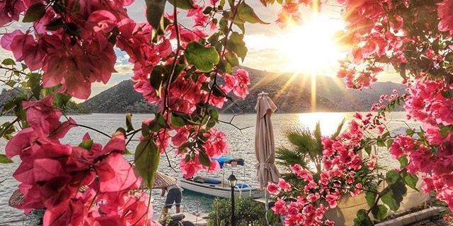 fedemirkan's profile banner image