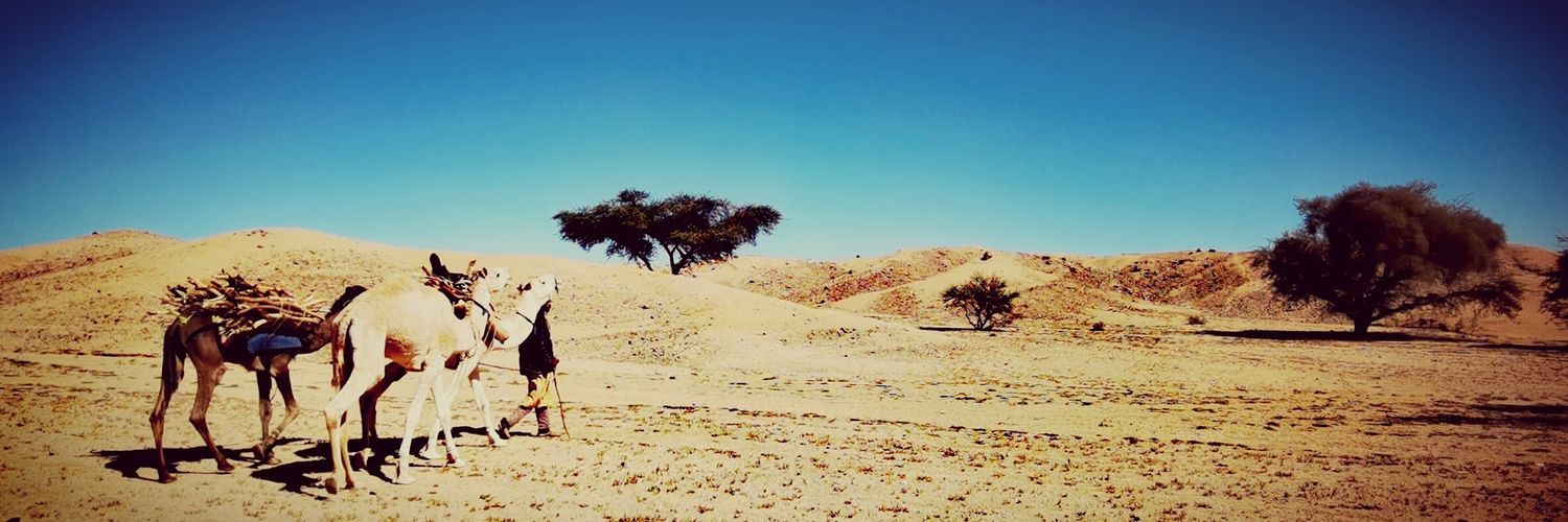 radioadrar's profile banner image