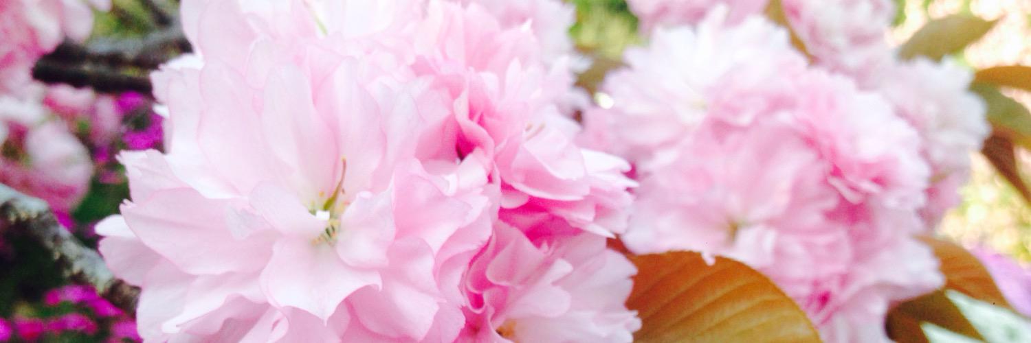 moriririn95's profile banner image