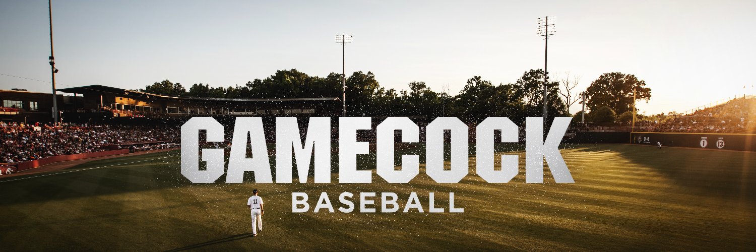 Gamecock Baseball Profile Banner