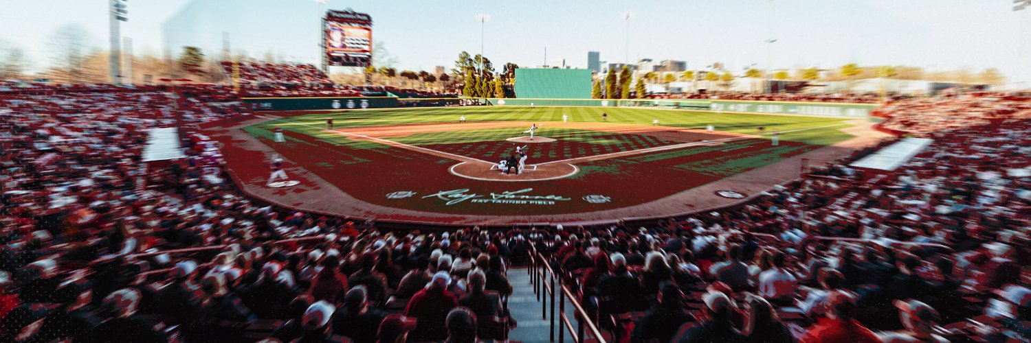 South Carolina Baseball banner