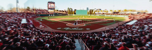 GamecockBSB Profile Banner