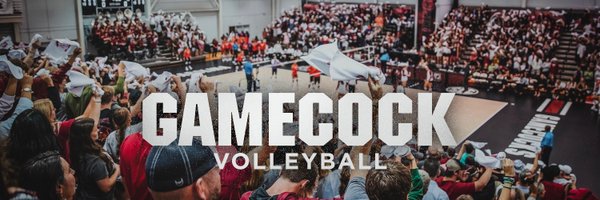 Gamecock Volleyball Profile Banner