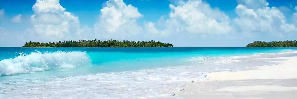 Fran_Garduno's profile banner image