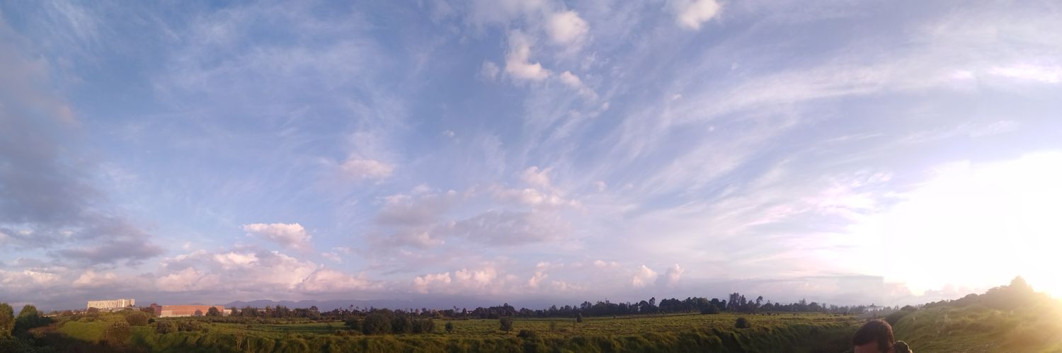 AlfrethMag's profile banner image