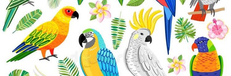 flooooooorcis's profile banner image
