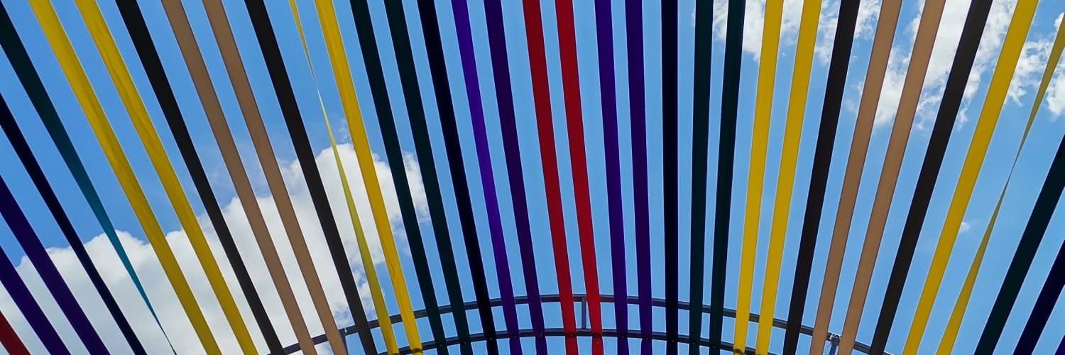 ionvaciu's profile banner image