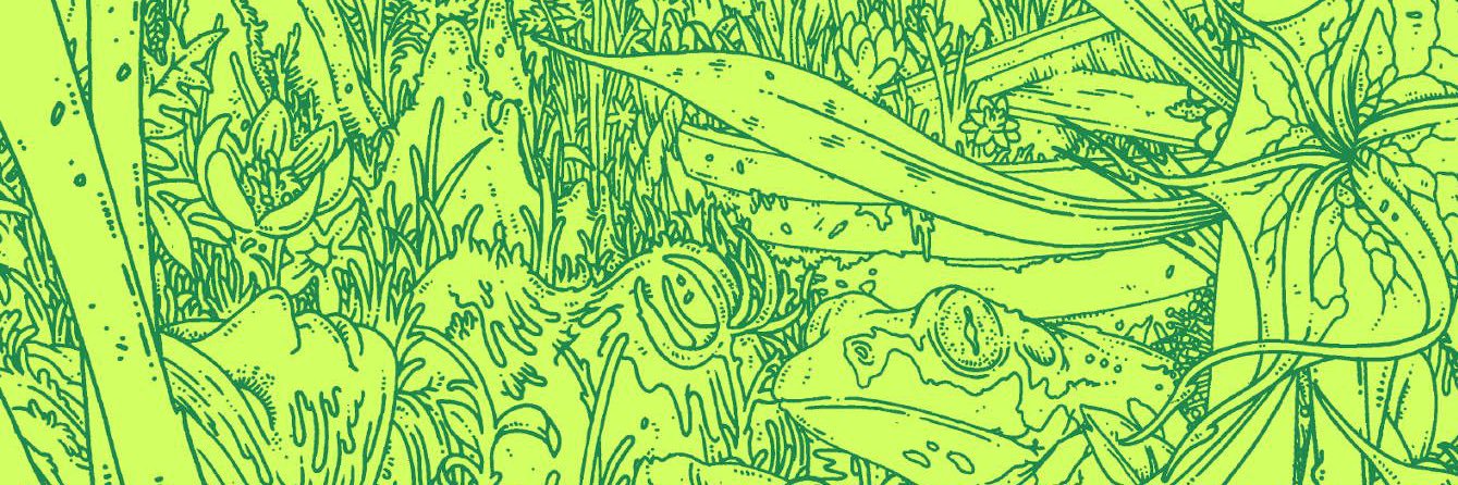 PalebloodO's profile banner image