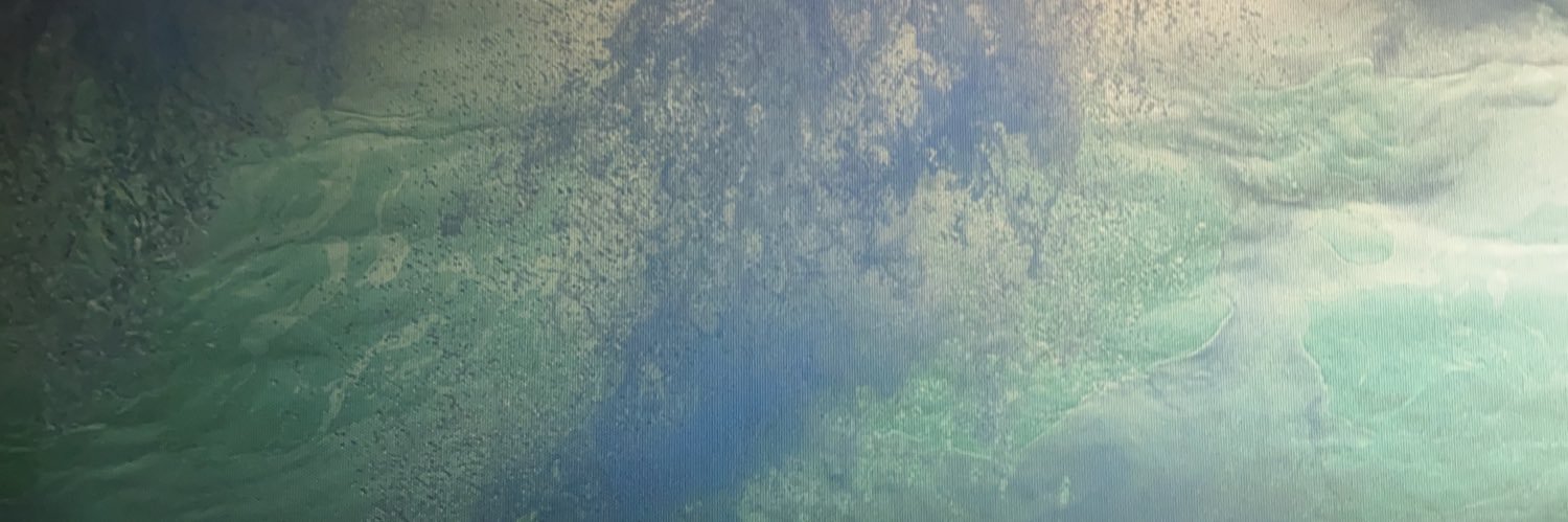 McCauleyWhyman's profile banner image