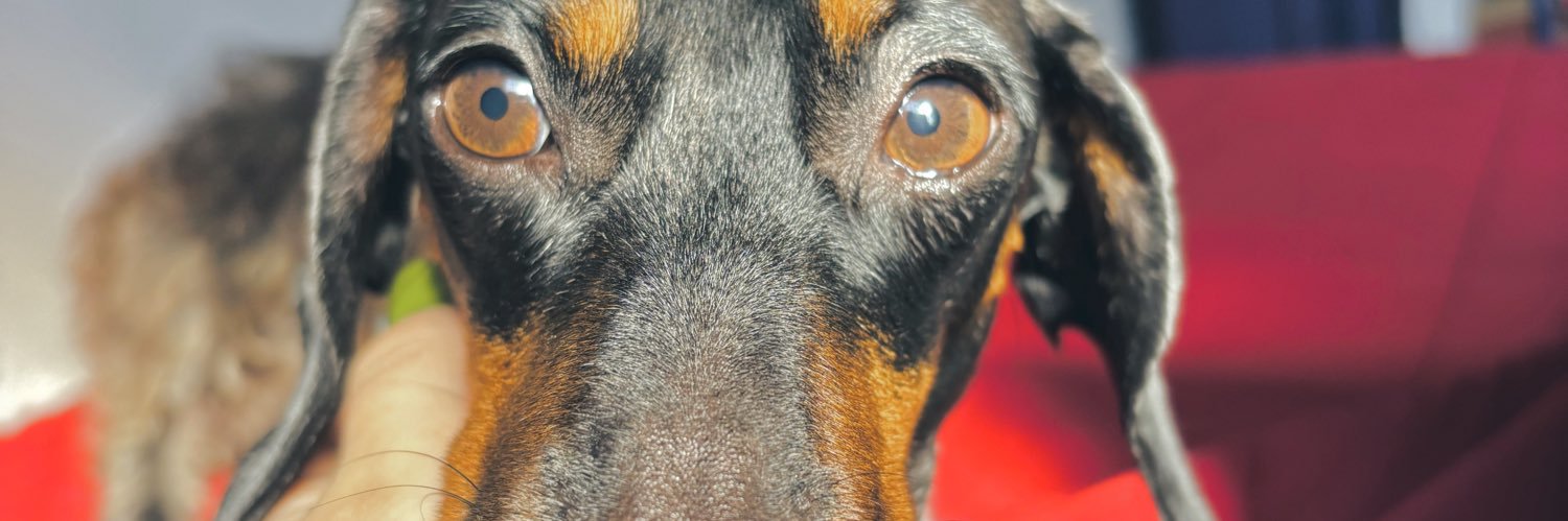 malenaperez0's profile banner image