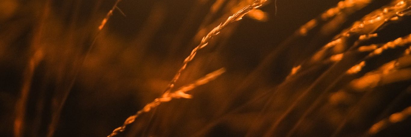 Saltana_A's profile banner image