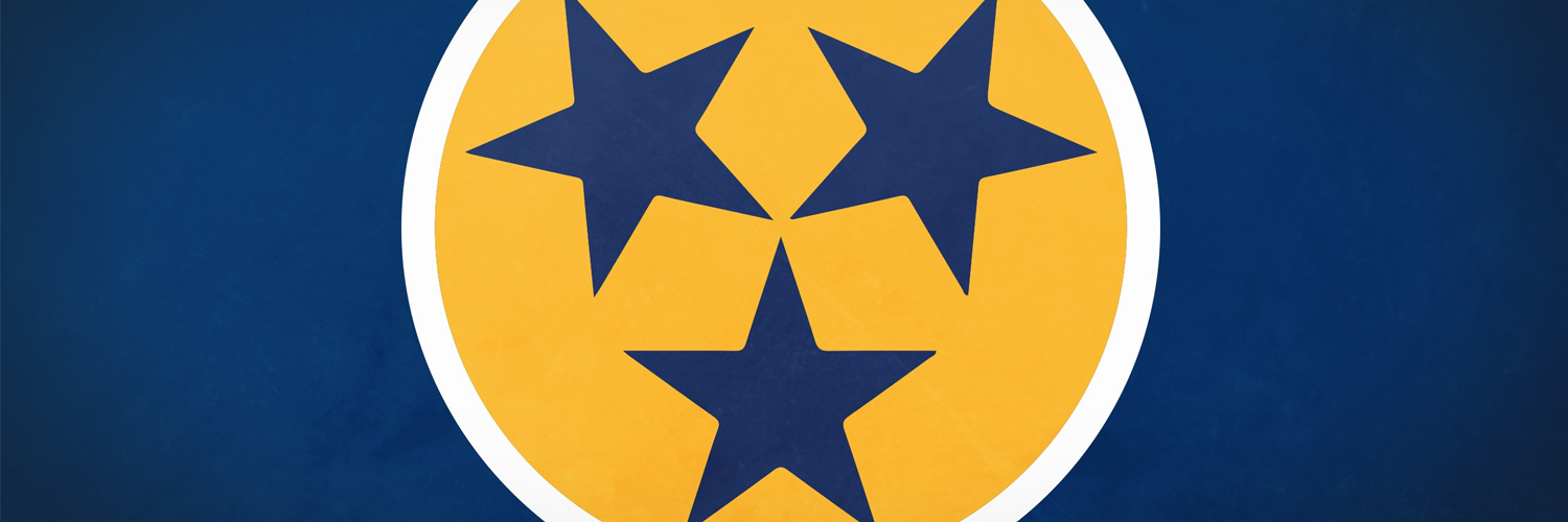 🐯🇫🇷 Nashville Predators France banner