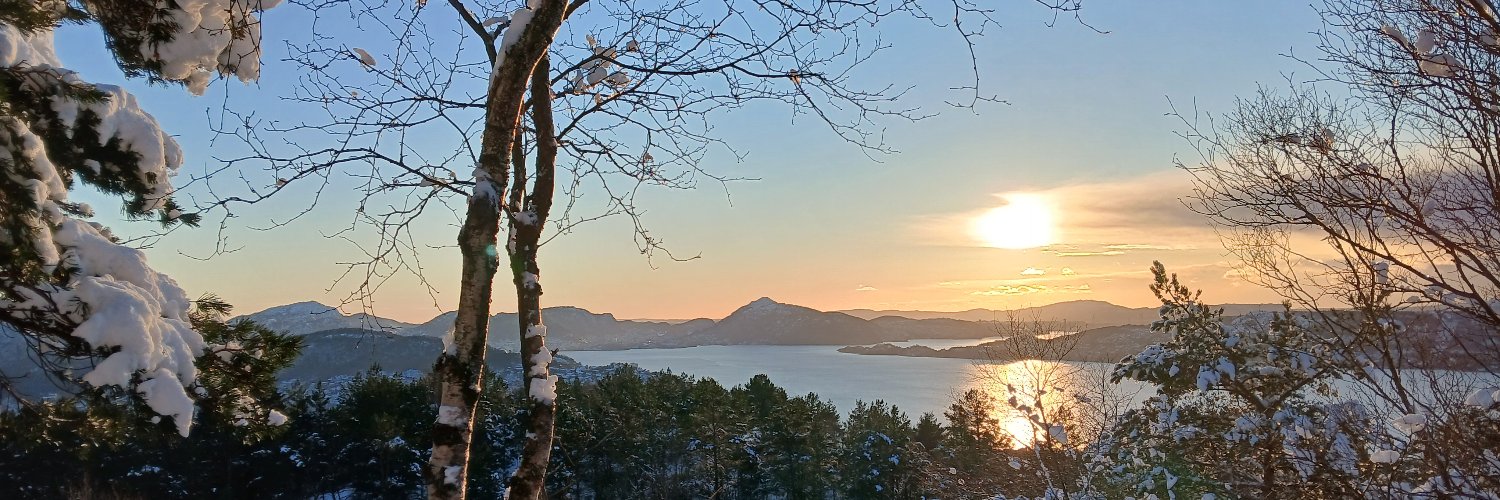 Iain Johnston banner