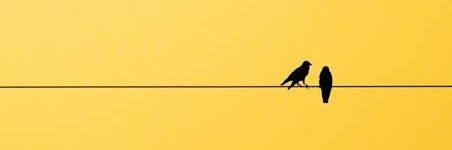 Yakzking's profile banner image