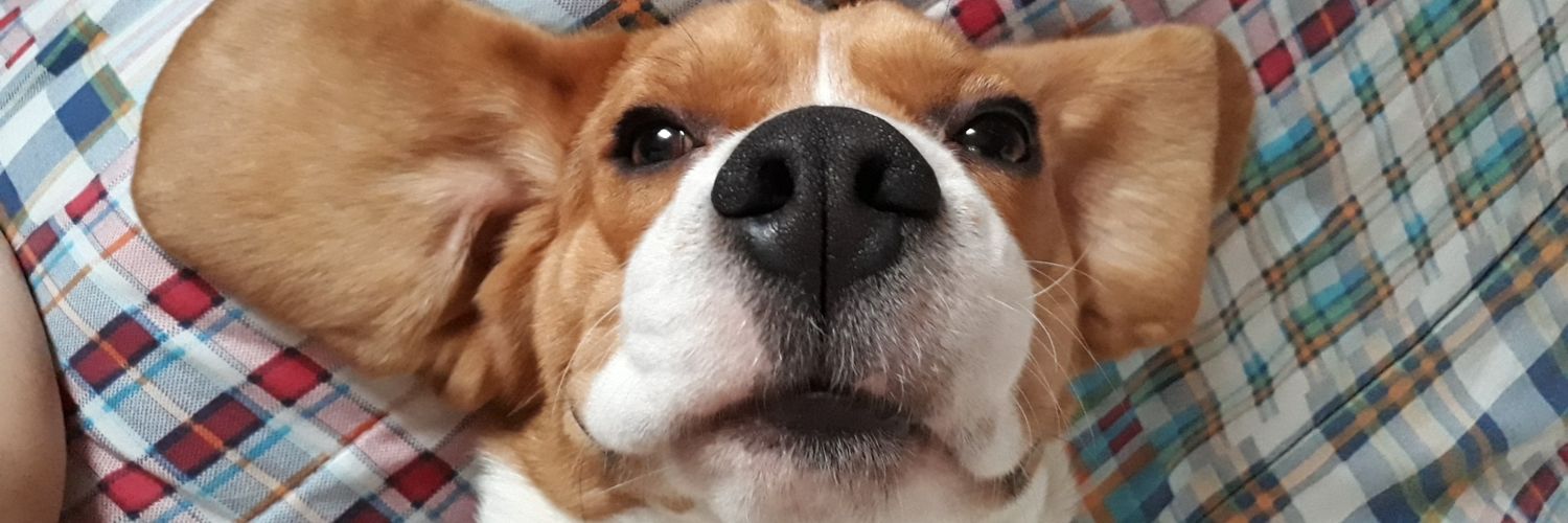 LupeeArias's profile banner image