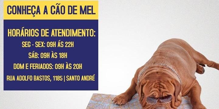 caodemelvet's profile banner image