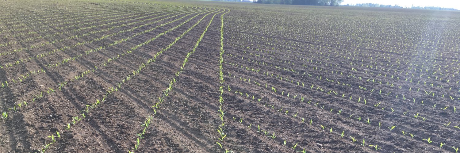 Vaderstad Daniel banner