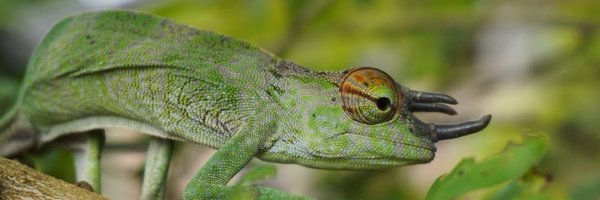 AnnaNordseth Profile Banner