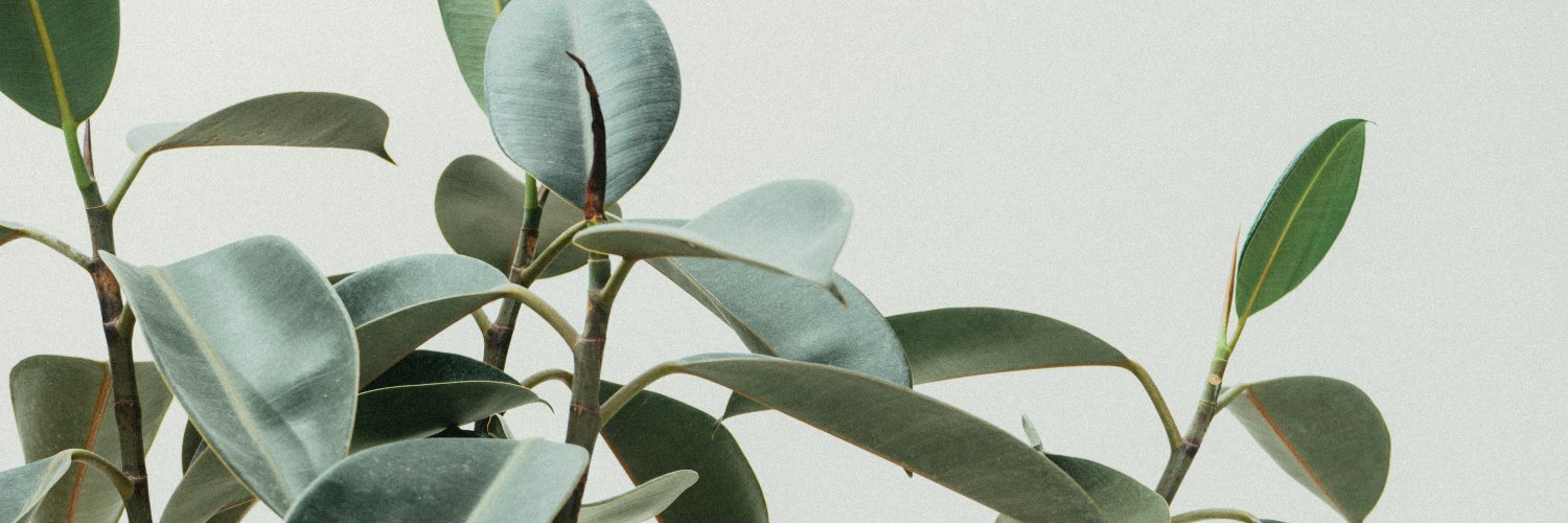 natocespedes's profile banner image