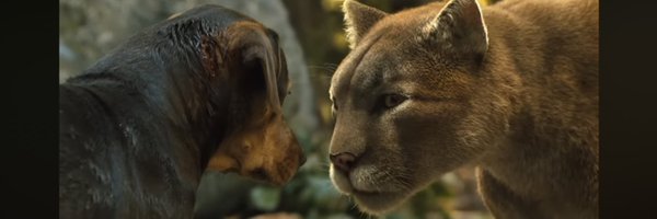 smilingdoggo Profile Banner