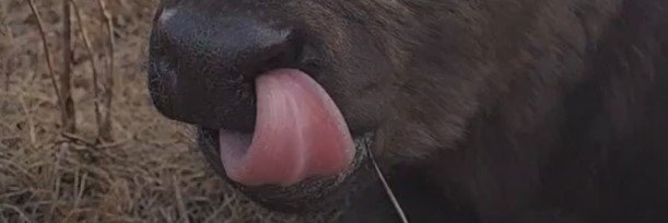 AndyHoit's profile banner image