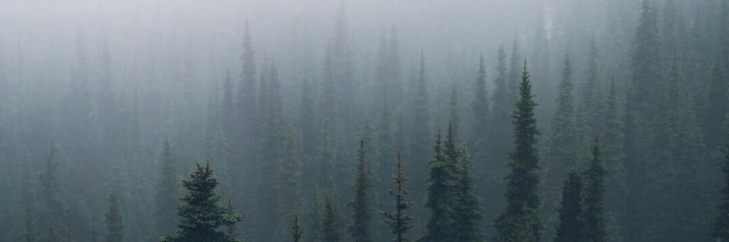 SandaaraLAtlas's profile banner image