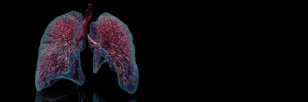 ebenbuild Profile Banner