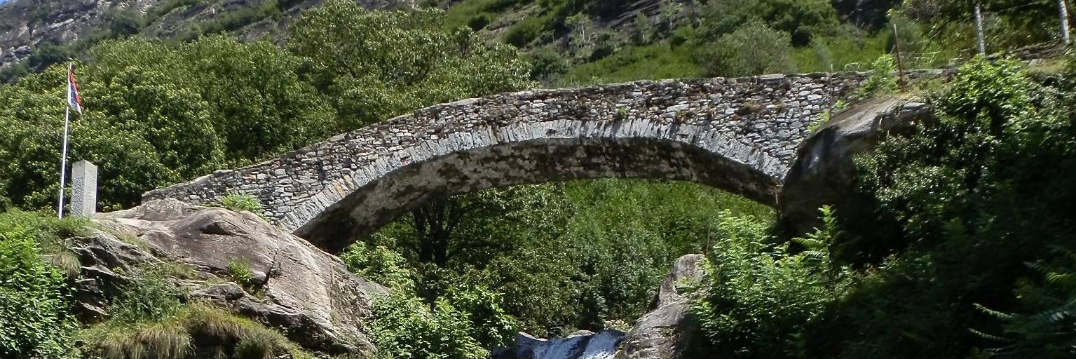 OTerraneo's profile banner image
