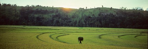 johnyounginasp Profile Banner