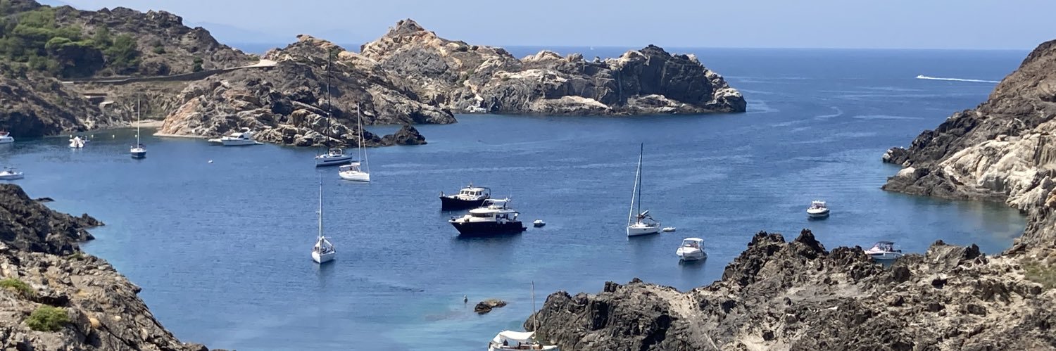 Lluís Mascaró banner