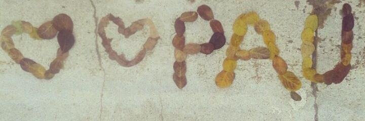 Pau_ramirez10's profile banner image