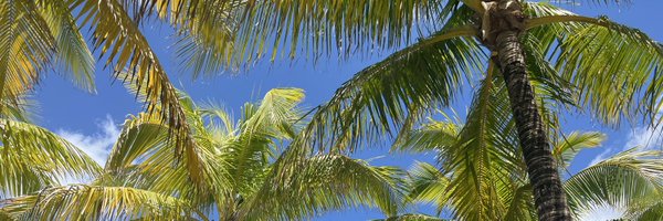 FredMorecraft Profile Banner