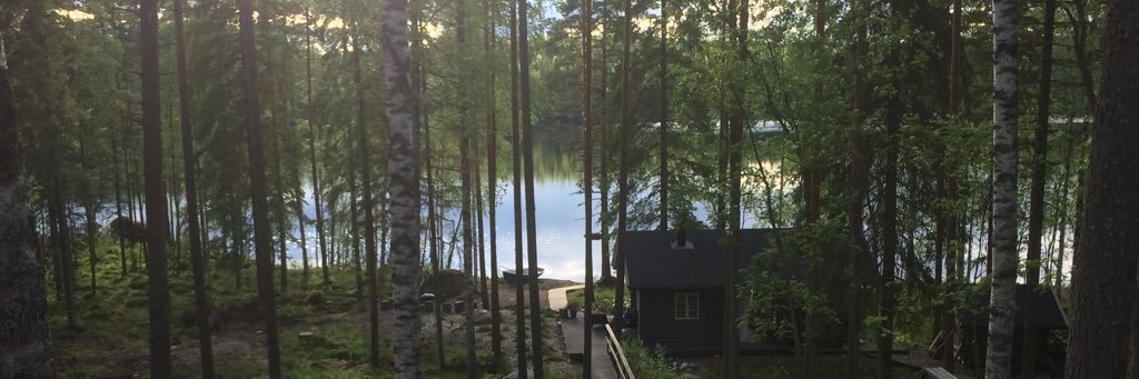 Tapani Pöllänen banner