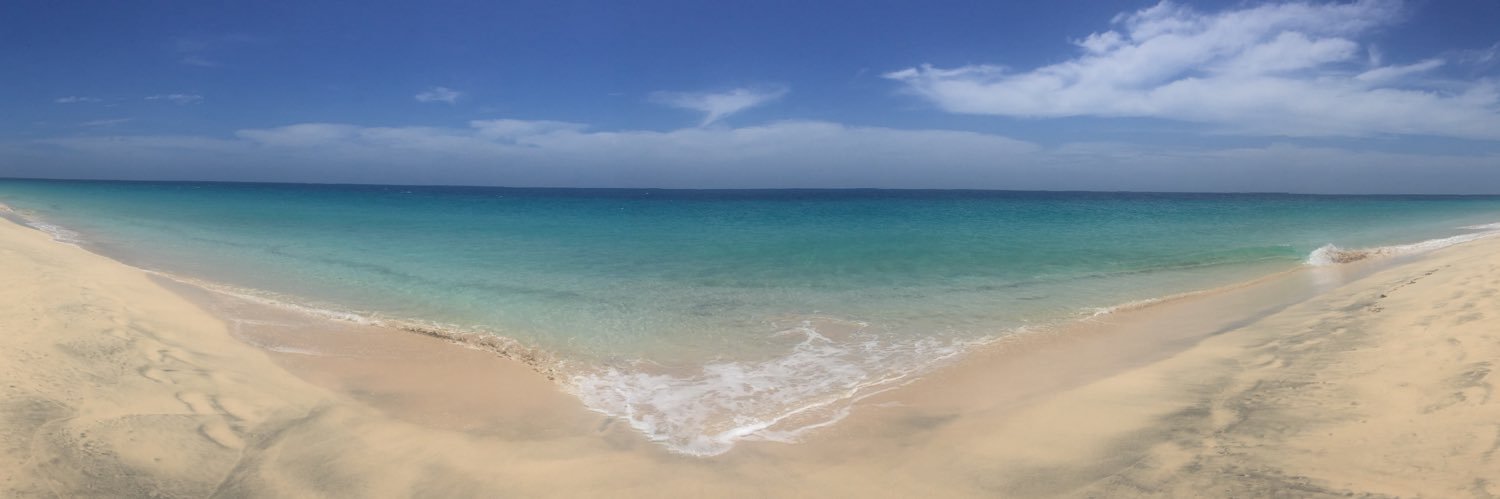 JenniferTurk1's profile banner image