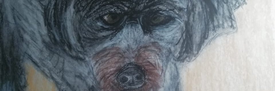 SoleMarce's profile banner image