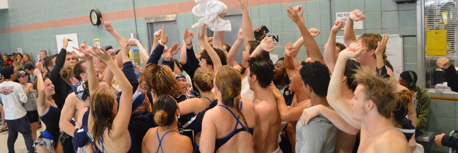 Mount_SwimDive's profile banner image