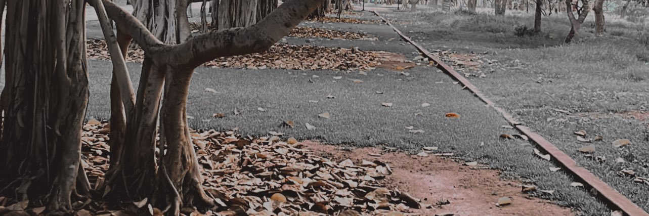 LhcGabriel's profile banner image